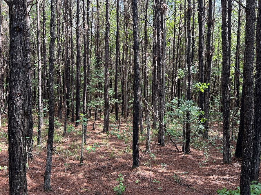 Fox Pen Tract