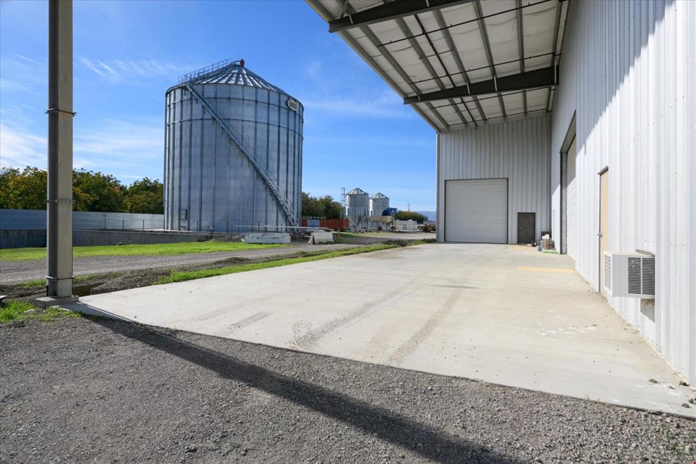 Organic Walnut Orchard & Processing Facility
