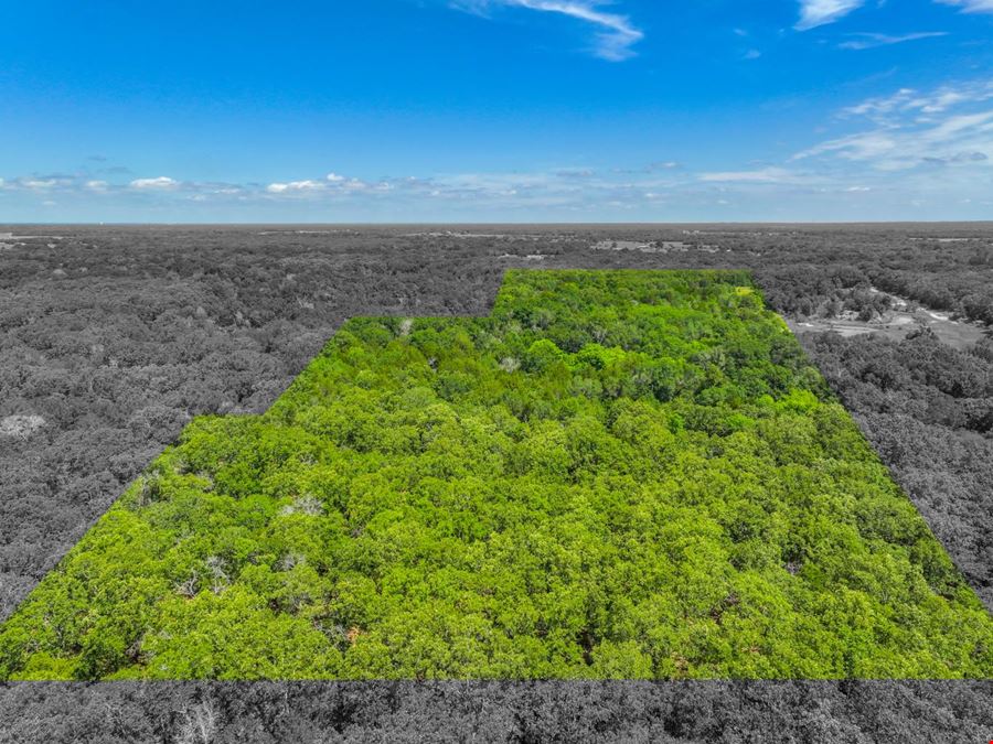 Land for Sale in Greenville