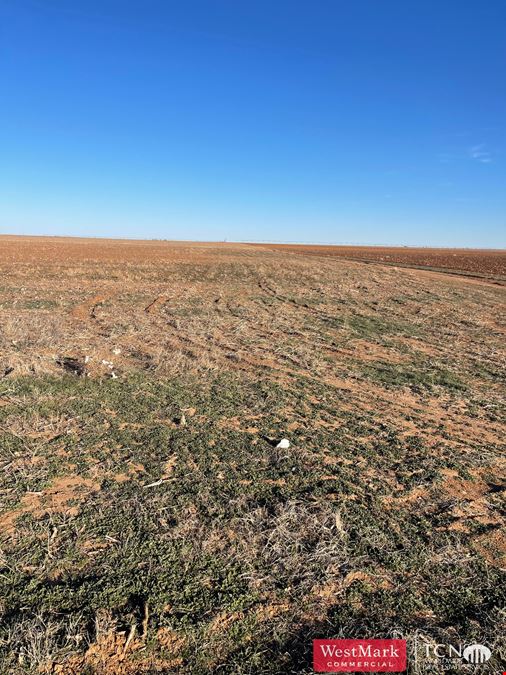 640 Acres North Lynn Co., TX 79373