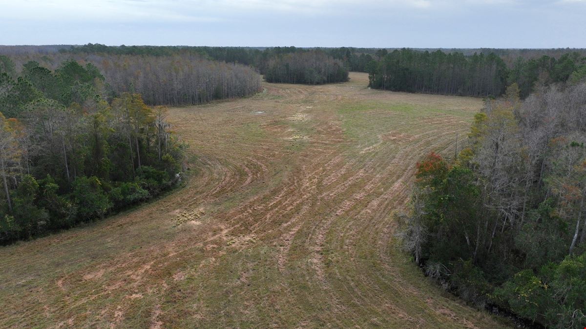 South Lake County Ranch and Hunting Tract