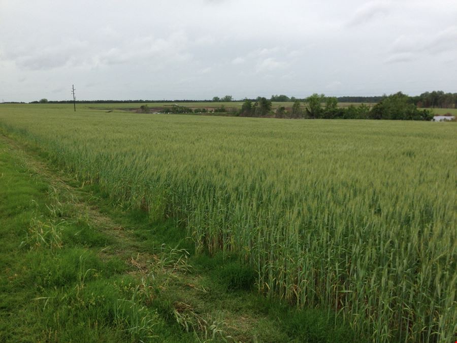 Four Ponds Farm 379 Acres