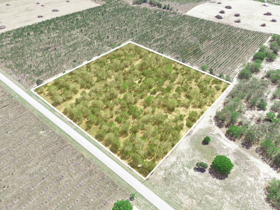 9.65± Acres on Friedlander Rd | Lake Wales- Polk County | Rural Homesite / Ag / Recreation