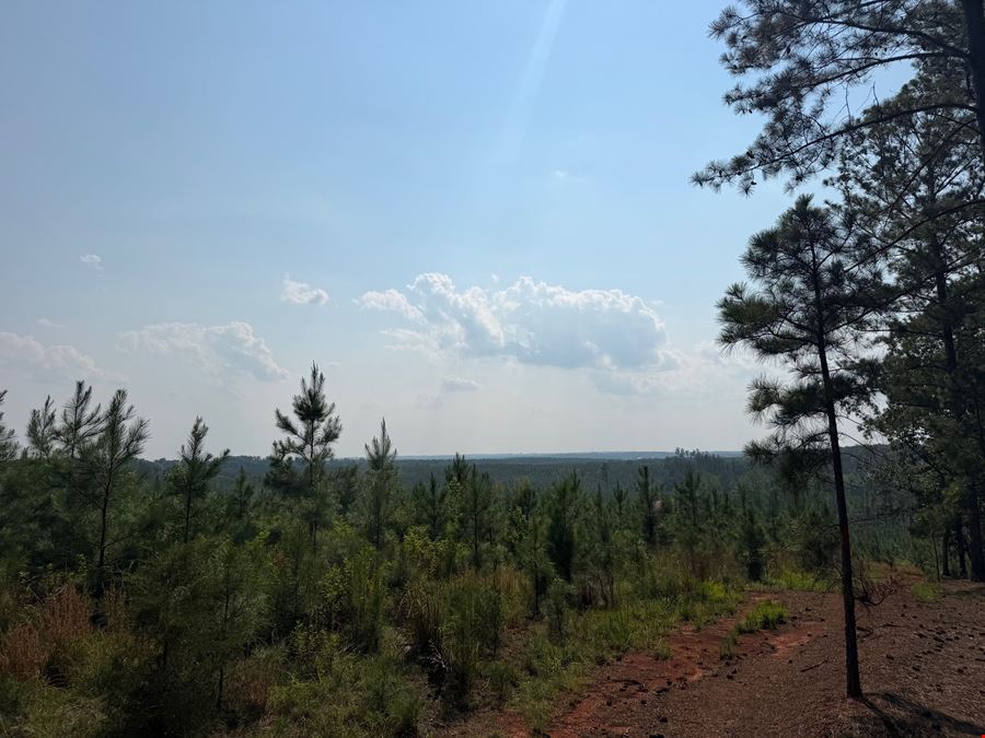 Jordan Andrews Tract