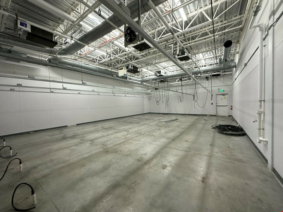 Light Industrial/Flex Building