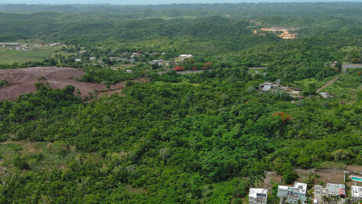 Commercial Development Land - Former Bosque Verde Motel - Isabela