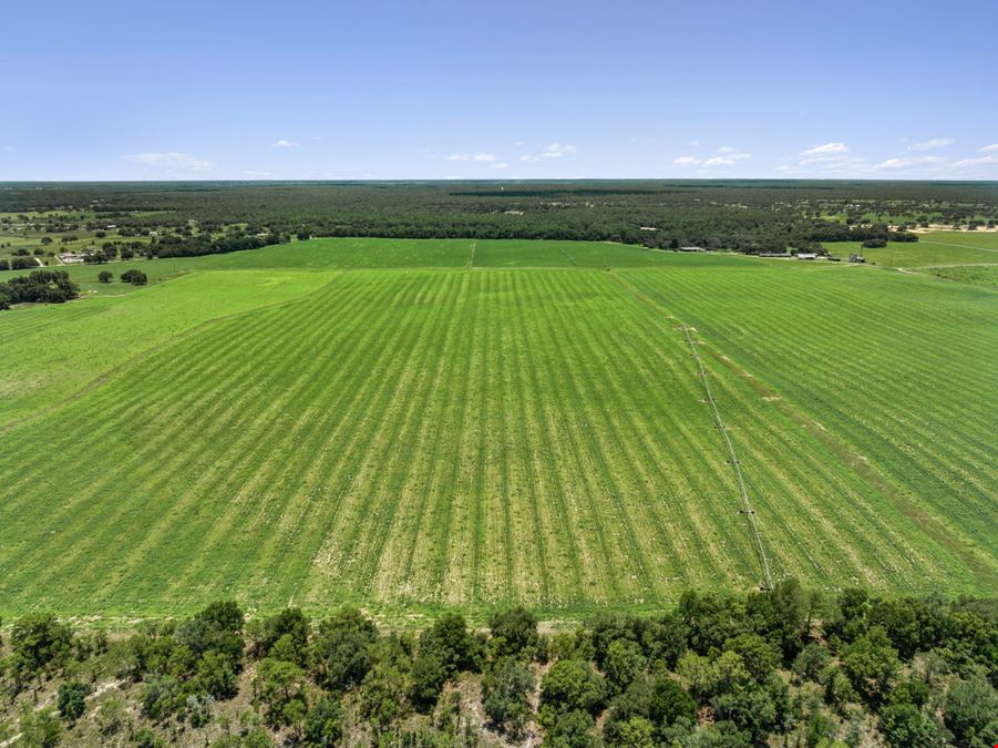 688± Acre Turn Key Farm Operation in Marion County