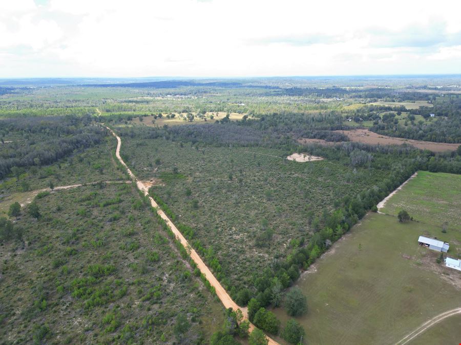 Ranch, Hunt & Invest: 280± Acres of Productive Timberland in SE Washington County