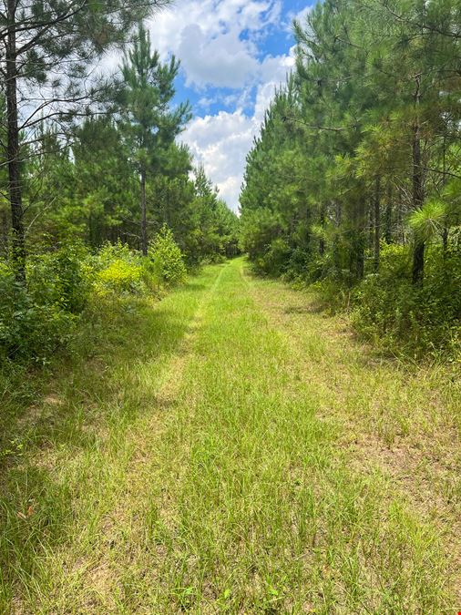 Upper River Woods