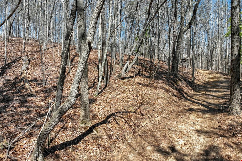 36+/- ACRES FOR SALE, HALL COUNTY