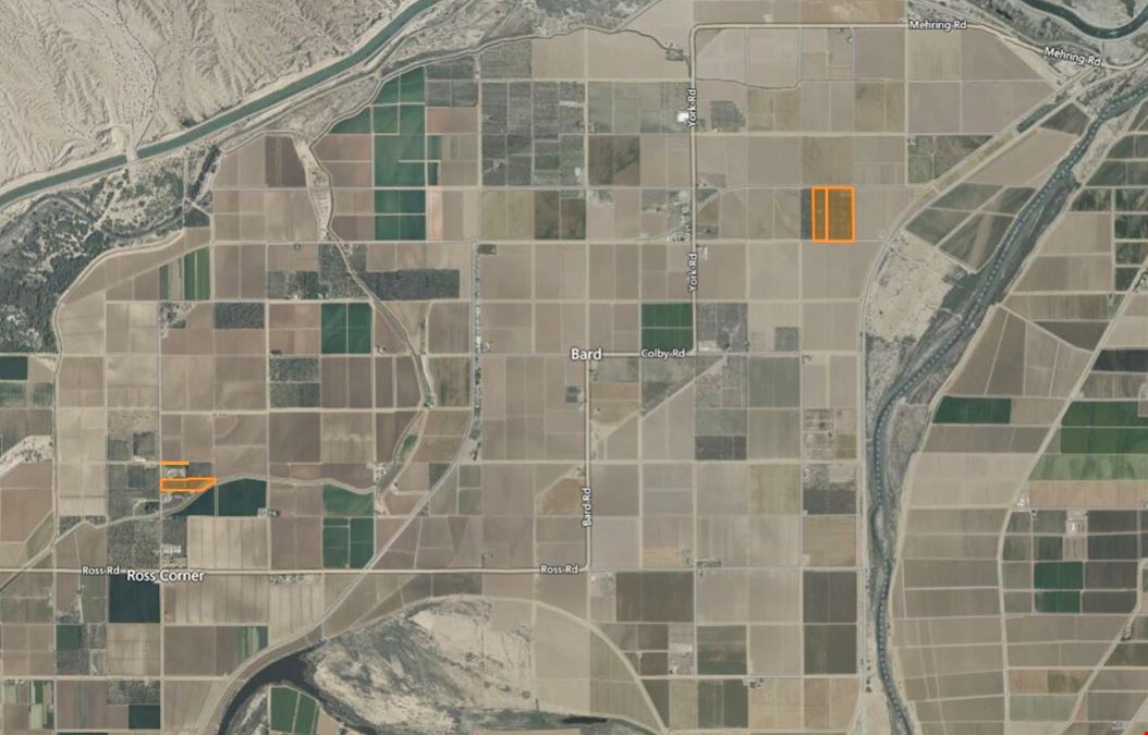 ±36.41 Acres of Medjool Dates