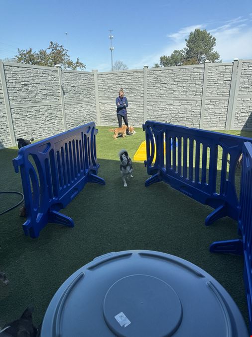 K9 Resorts