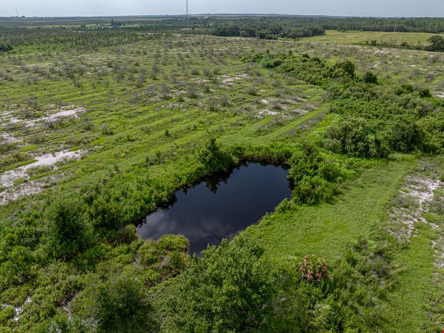 Lake Reedy Reserve