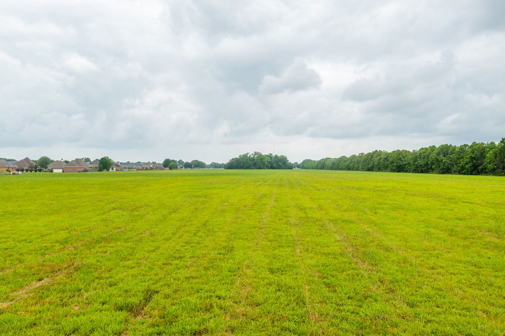 Development Opportunity off Johnston St