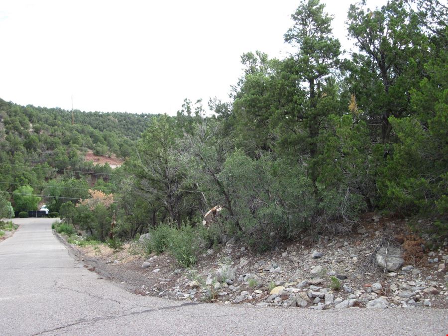 Beaver Ln