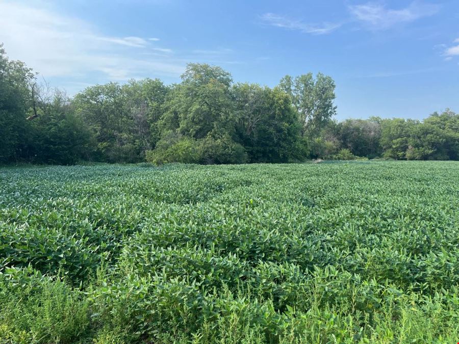 3704  E. SD Hwy 50