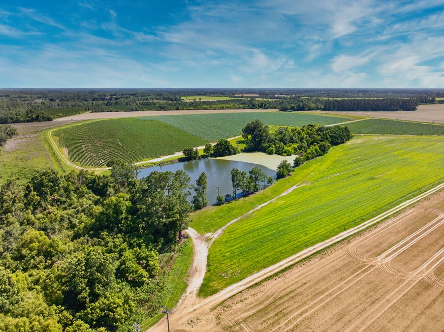 Ellenton Irrigated Farm