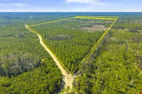 Clay County Timber and Recreation