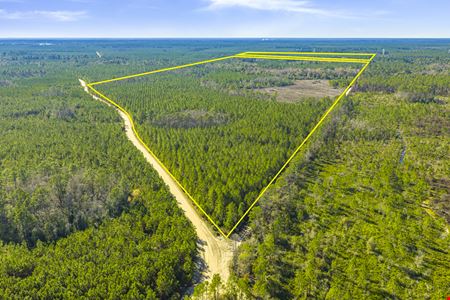 Preview of VacantLand space for Sale at 0 George's Lake Road 