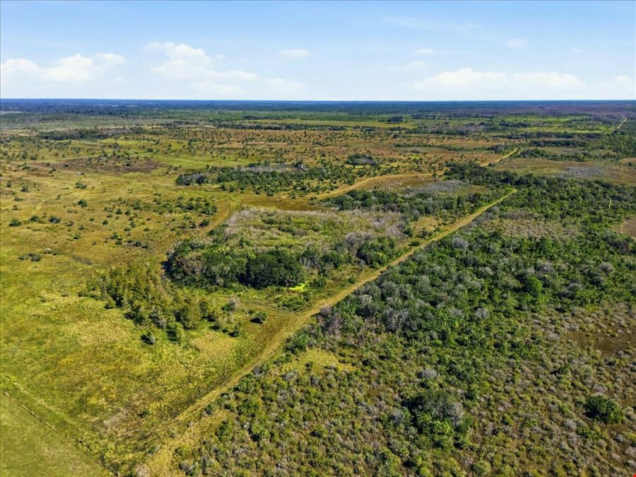 Big Cypress Preserve