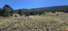 TBD Conifer Road