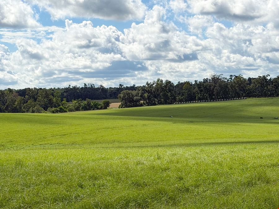 Lake Rachel Ag Land