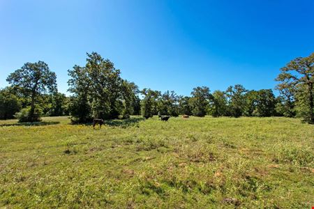 Preview of Other space for Sale at 11041 Jack Rabbit Lane