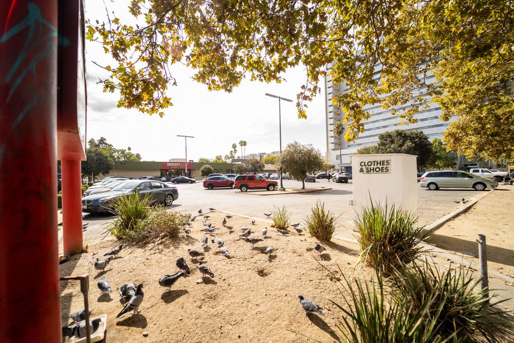 Downtown Commercial 262 E Santa Clara
