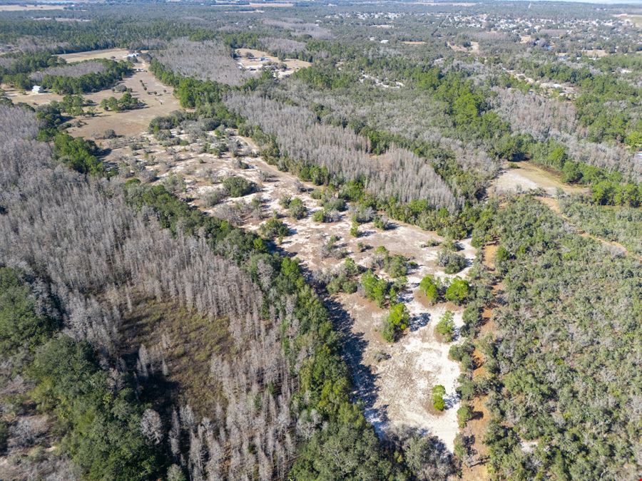 Haines City Recreational/Transitional Land