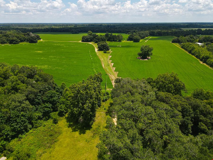 Marianna Farm and Hunting