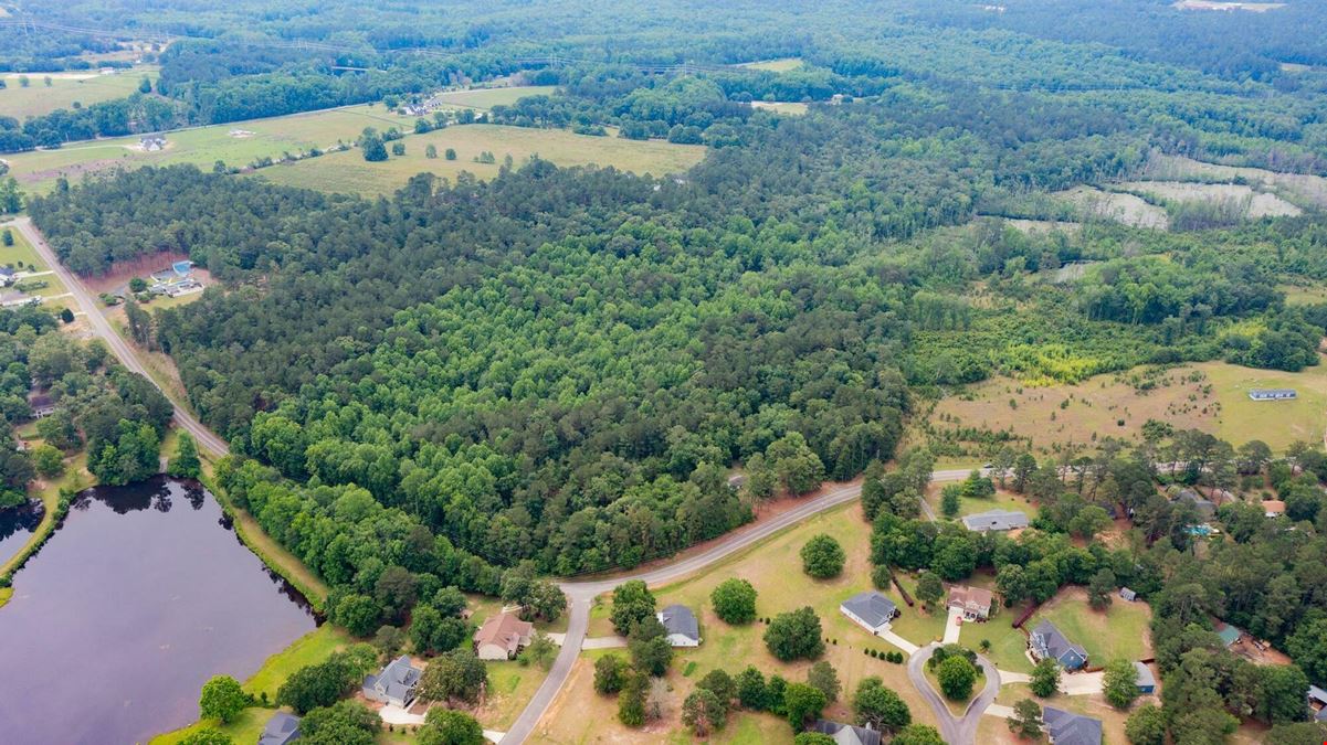 13.75 Acres Undeveloped Land with Timber: Mixed Hardwoods in North Aiken