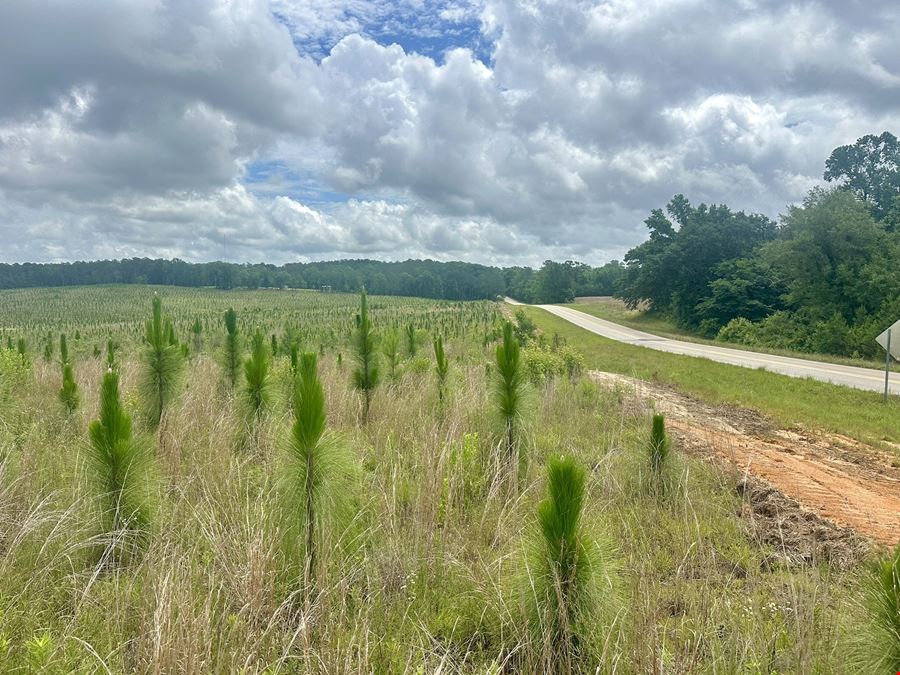 Barbour County Homesites