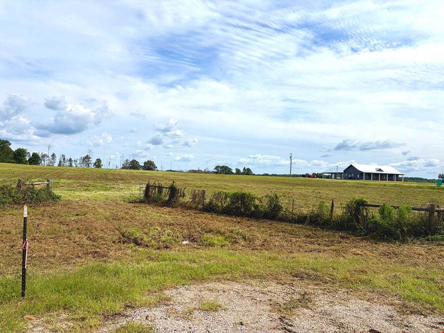 Rutledge Mini Farm