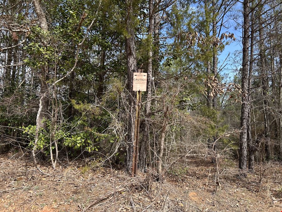 Garland Belmont Tract