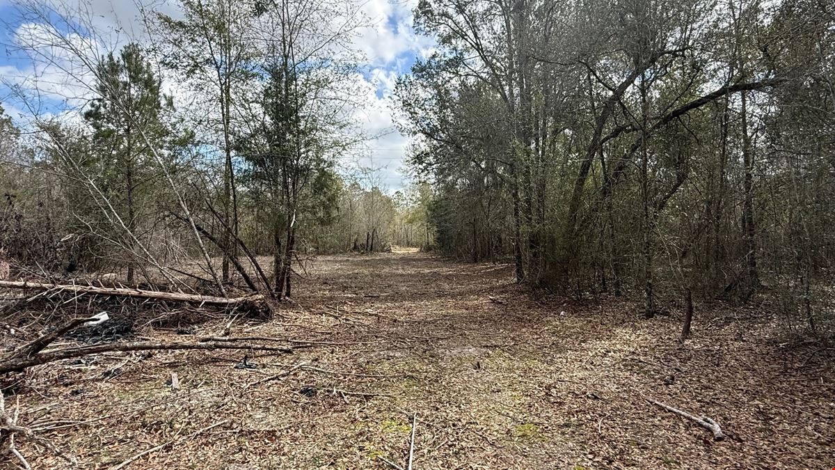 65 Acres Near Lake Seminole – Hunting and Recreation Land