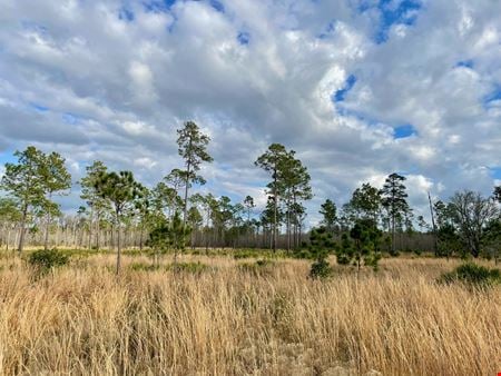Preview of VacantLand space for Sale at SE corner of US 41 & SR 52