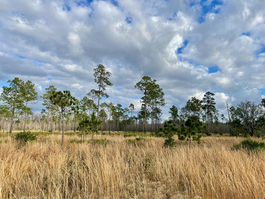 Old Florida Ranch Recreational Land