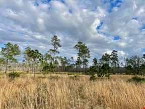 Old Florida Ranch Recreational Land