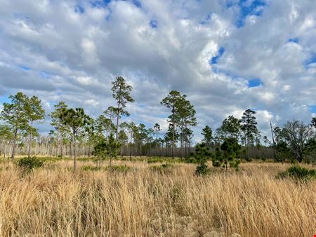 Preview of VacantLand space for Sale at SE corner of US 41 & SR 52