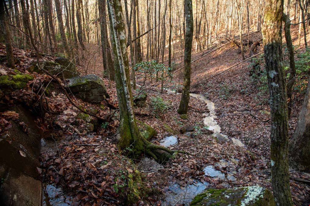 Smeltzer Mountain Road Tract One