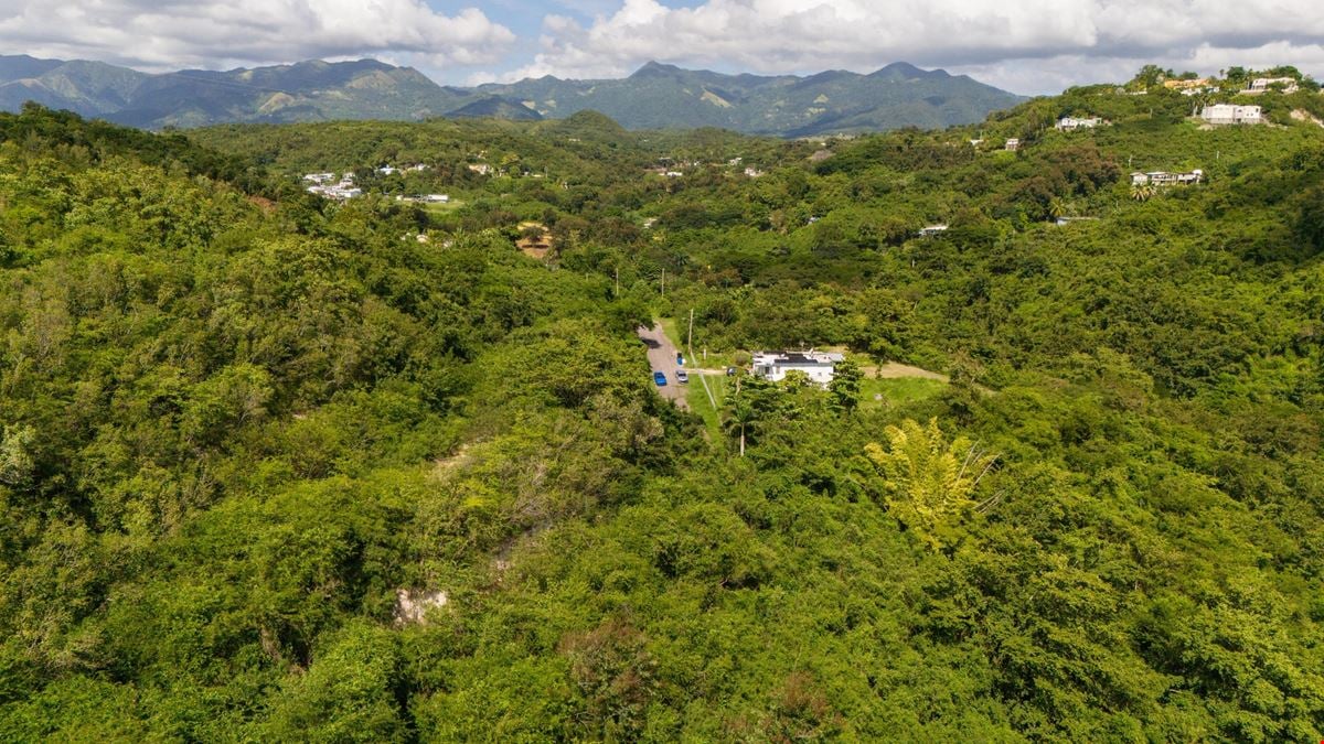 18.36 Acre Agricultural Land @ Ponce, Canas Ward - For Sale