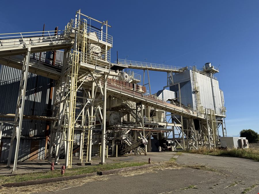 Biomass Co-Generation Plant: Grid Ready / Carbon-Negative Potential
