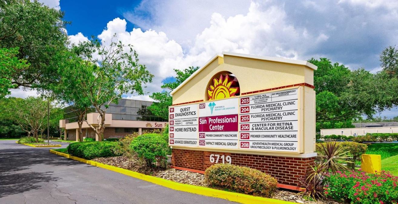 Sun City Professional Center For Sale