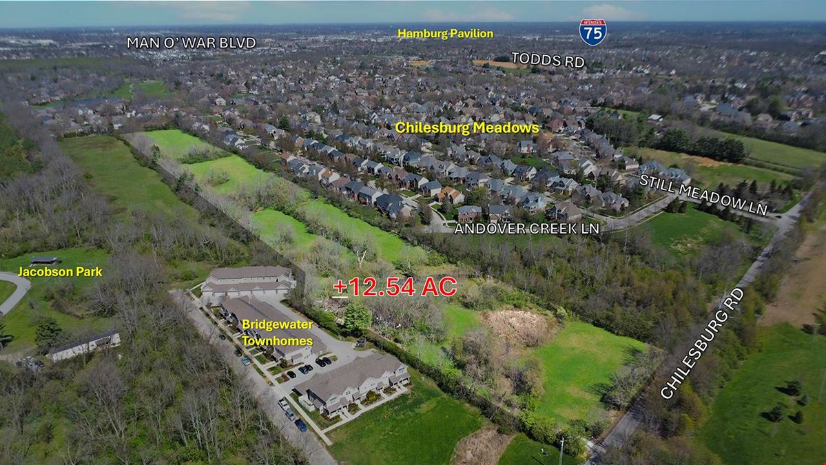 +/-12.54 AC Chilesburg Land