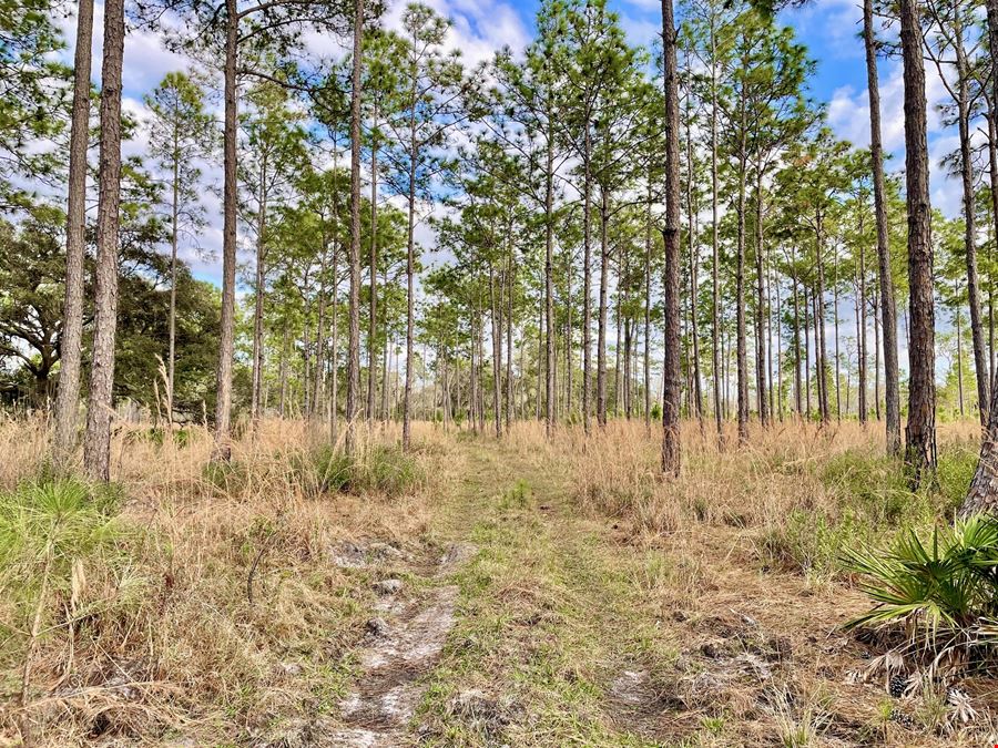 Old Florida Ranch Recreational Land