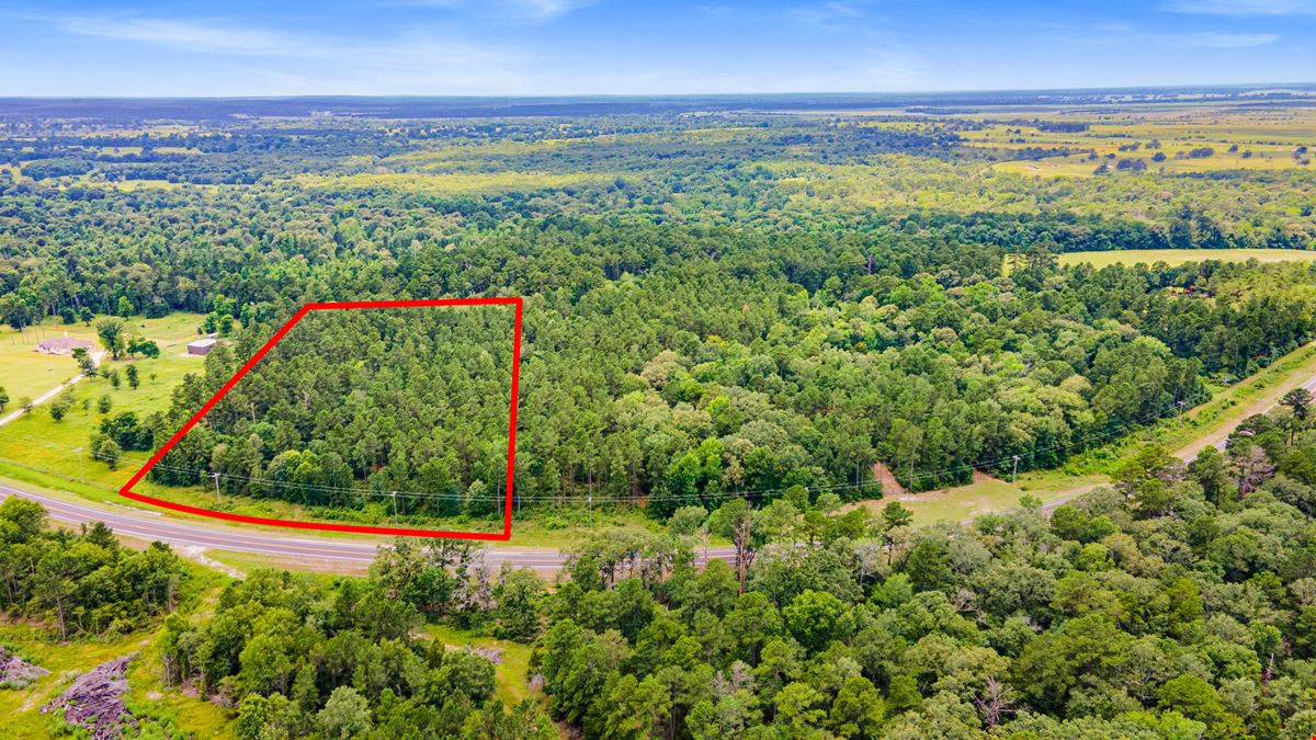 Strategic Land Investment in Trinity