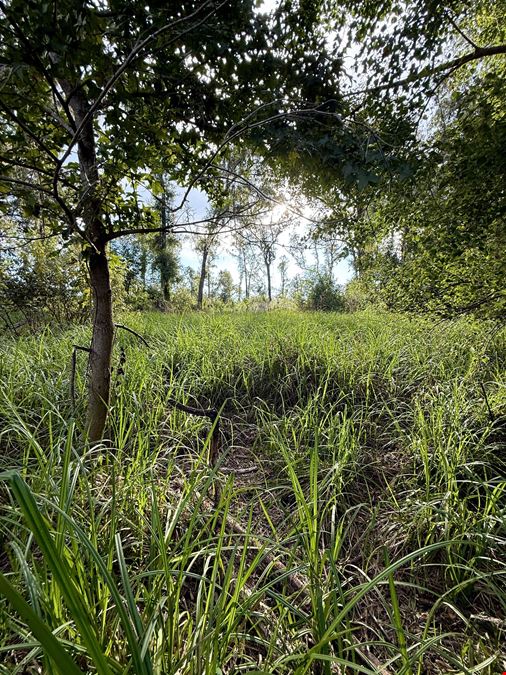 39 +/- Acres in Horse Country