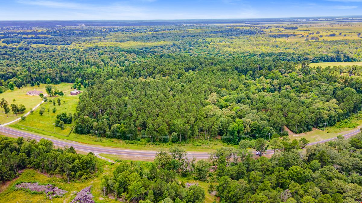 Strategic Land Investment in Trinity