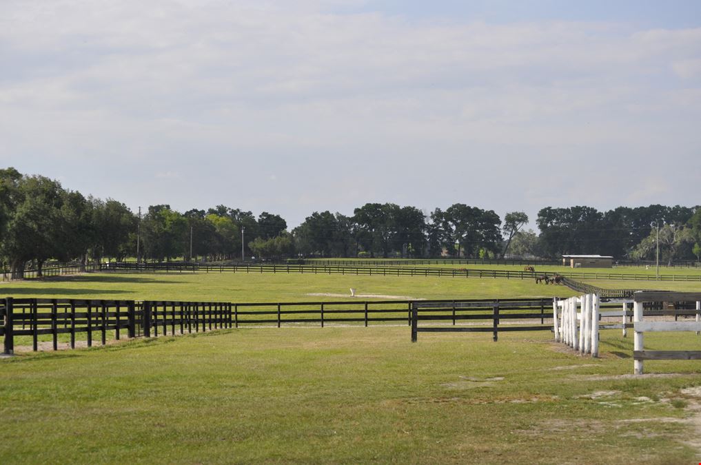 Ocala Stable and Racetrack