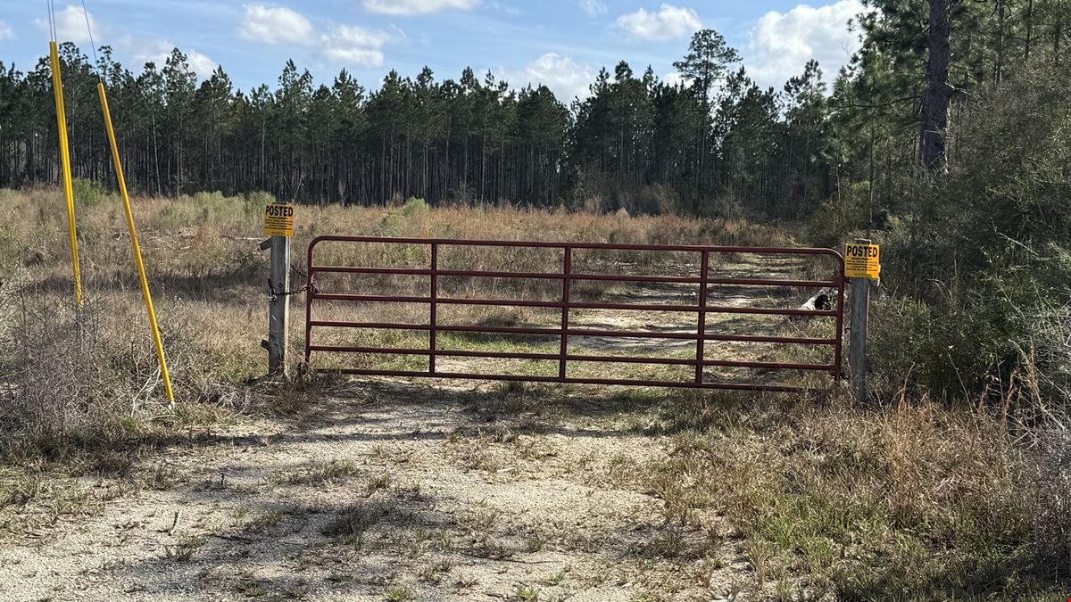 20-Acre  in Altha, Fl -AG Zoned with Development Potential